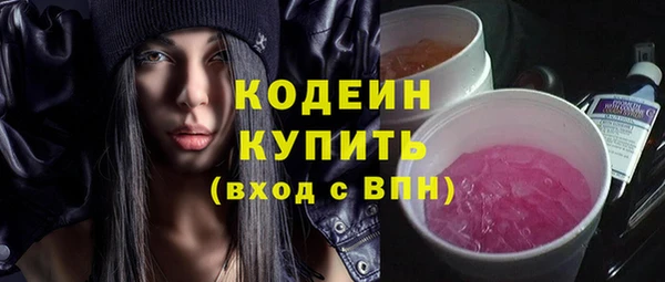 мдпв Елизово
