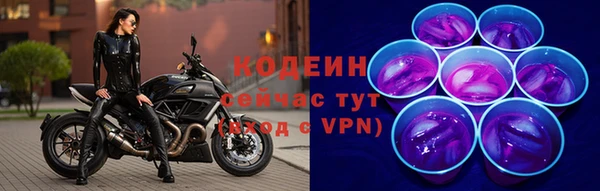 мдпв Елизово