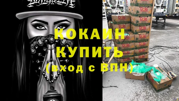 мдпв Елизово