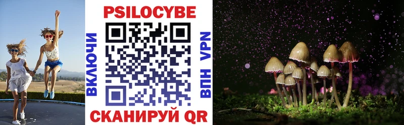 Псилоцибиновые грибы Magic Shrooms  блэк спрут ТОР  Кедровый 